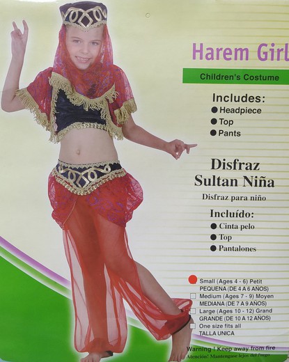 Costume de danseuse arabe (4 à 6 ans)
