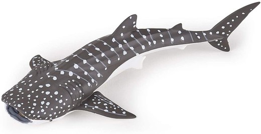 Figura di squalo balena bambino - Papo