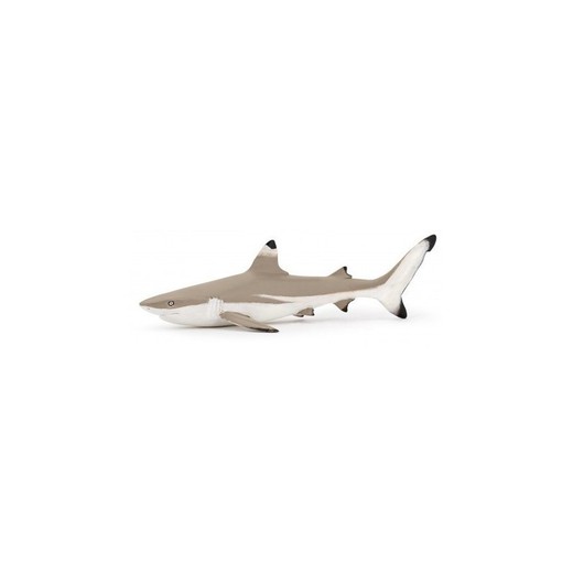 Figura Tiburón de Arrecife Punta Negra – Papo
