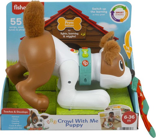 Fisher - Price - Puppy Crawls With Me