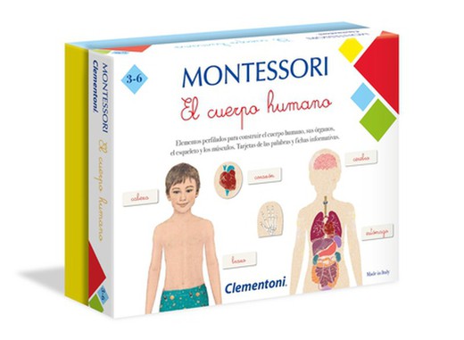 Montessori - Le corps humain