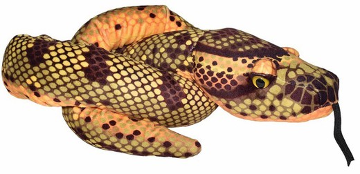 Animali imbalsamati - Serpenti assortiti - 137 cm.