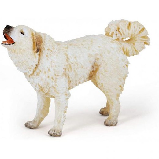 Pyrenean Dog - Papo