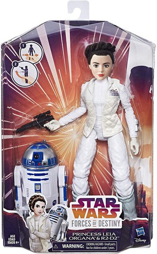 Princess Leía and R2-D2