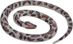 Serpent en caoutchouc - Rock Python