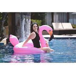 Runder Flamingo - 116 cm x 105 cm x 95 cm - Jilong