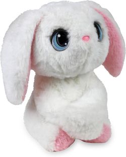 Coniglio che coccola il papavero