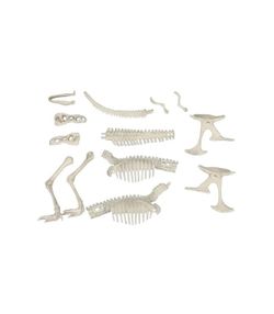 Большой набор раскопок Dino World