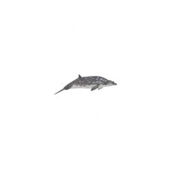 Figura Ballena de Pico de Blainille – Collecta