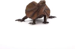 Figura Lagarto de Collar - Crotaphytus collaris - Papo