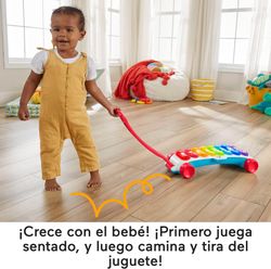 Fisher-Price Riesen-Xylophon