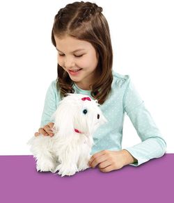 Fluffy mi Perrito de Paseo