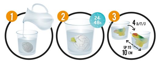 Œuf de dinosaure surprise magique - Buki