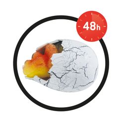Œuf de dinosaure surprise magique - Buki
