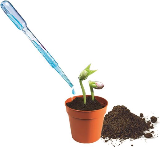 Kit Invernadero - Ciencia Y Juego - Clementoni