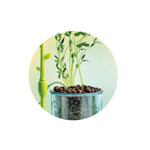 Kit Invernadero - Ciencia Y Juego - Clementoni