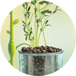 Kit Invernadero - Ciencia Y Juego - Clementoni