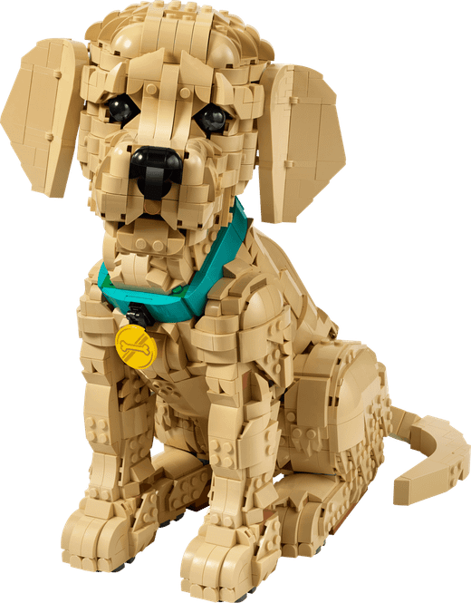Lego Icons - Cachorro De Golden Retriever