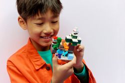 Lego Minecraft - Steve's Taiga Adventure