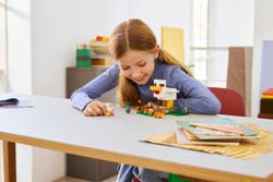 Lego Minecraft – Die Hühnerfarm