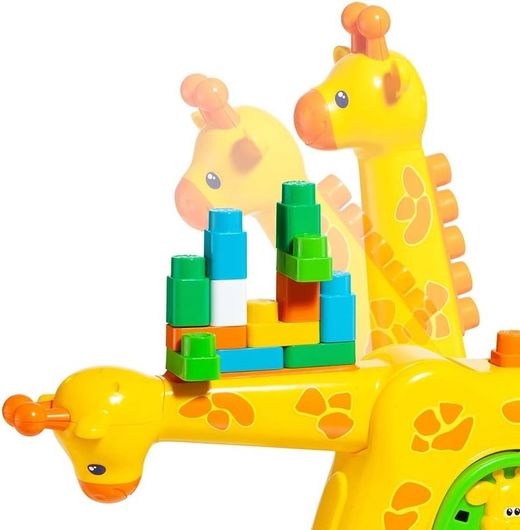 Moltó - Attività Giraffa