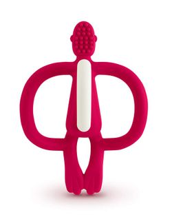 FUCSIA SCIMMIA MATCHSTICK