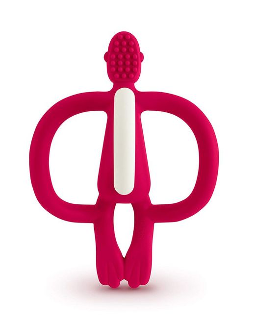 FUCSIA SCIMMIA MATCHSTICK