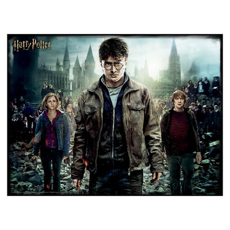 barato estoy de acuerdo con Elección Puzzle lenticular Harry, Hermione y Ron 500 piezas — Juguetesland