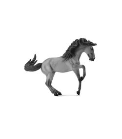Semental Lusitano XL