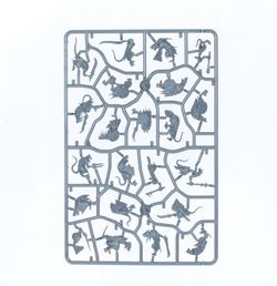 Age of Sigmar Einsteigerset