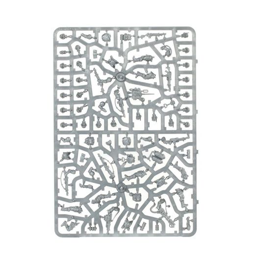 Cadianische Schocktruppen – Warhammer 40.000