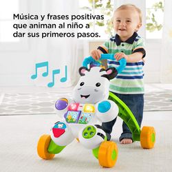 Zebra Interactive Erste Schritte - Fisher-Price