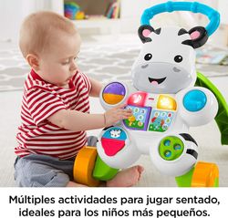 Zebra Interactive Erste Schritte - Fisher-Price